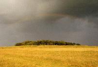 Badbury Rings hillfort, Dorset (Photo: June 1991)