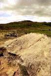 Garleigh Moor rock carvings, Northumberland (Photo: July 1989)