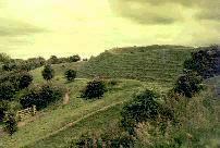 Hambledon Hill hill-fort, Dorset (Photo: June 1991)