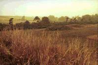 Lambourn Seven barrows cemetery, Berkshire (Photo: August 1990)