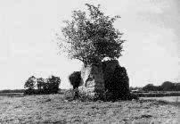 Lugbury long barrow, Wiltshire (Photo: September 1990)