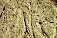 Old Bewick cup-and-ring marked stone, Northumberland (Photo: July 1989)