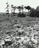 Dunchraigaig cairn, Mid Argyll (Photo: June 1990)