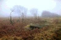 Nicholaston chambered cairn, Gower (Photo: March 1988)